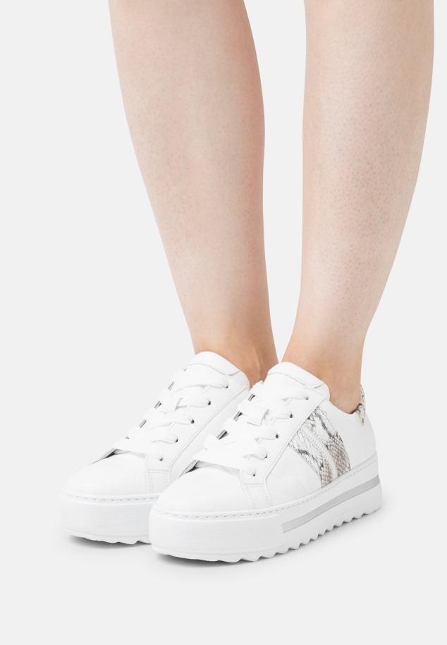 Trénerek Laterosso Gábor