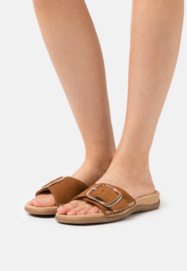 Gábor öszvérek Szürke