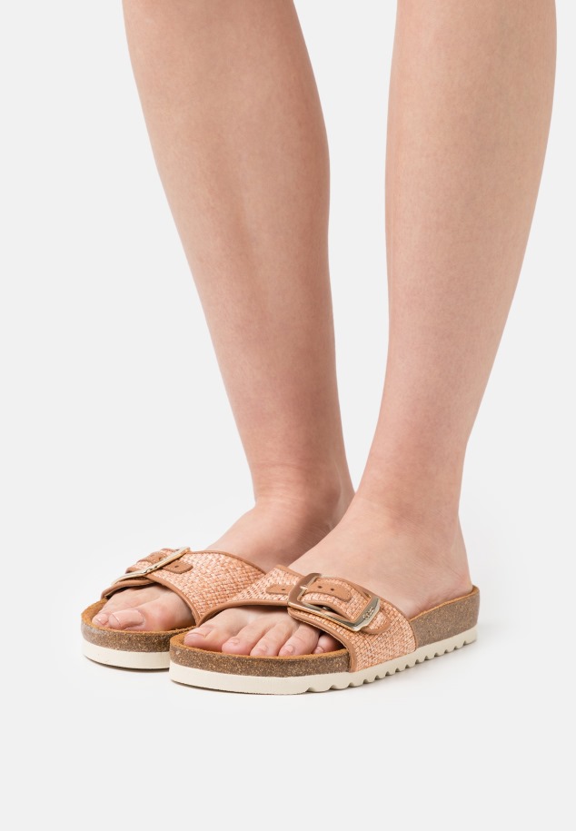 Gábor öszvérek Szürke