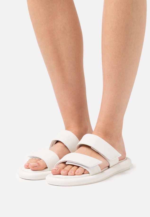 Gábor öszvérek Szürke