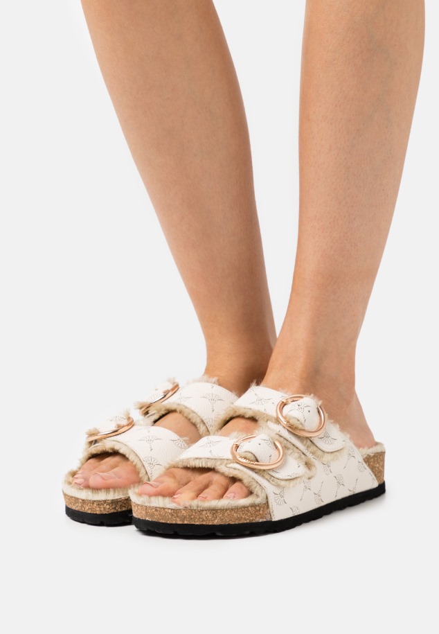 Gábor öszvérek Szürke