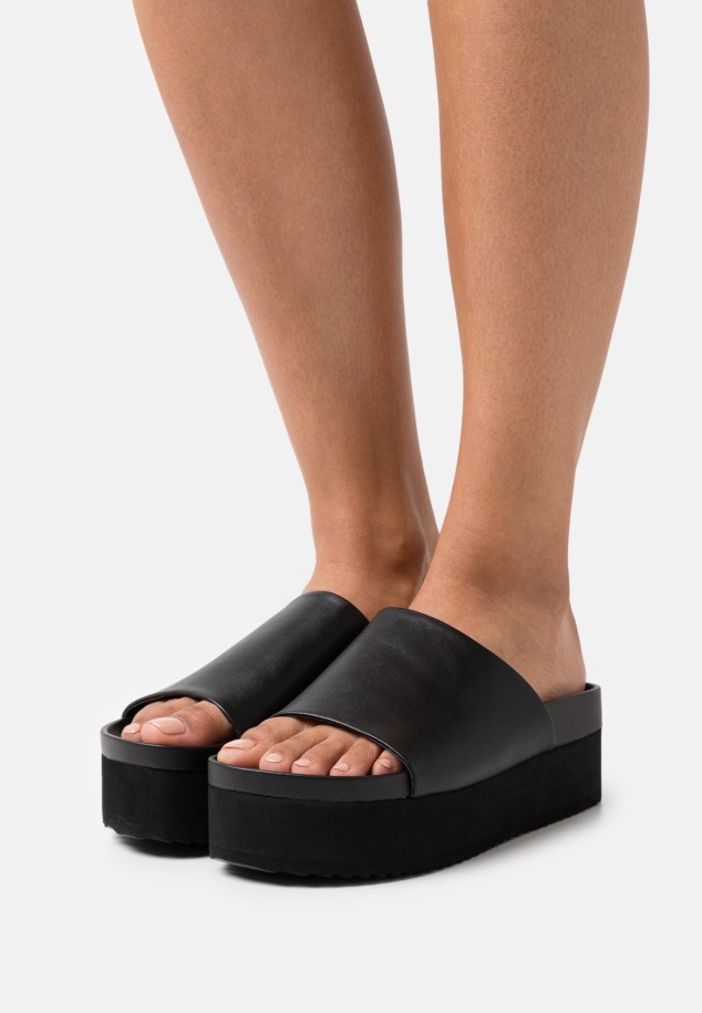 Panna Gabor Sarkú öszvérek