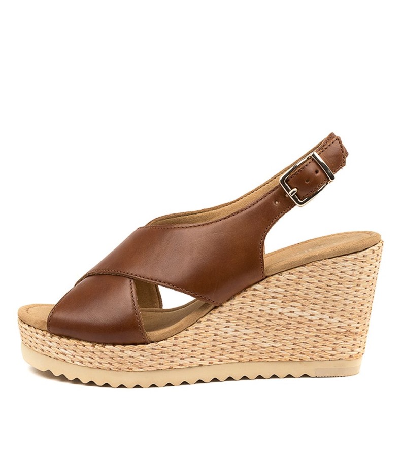 Gabor Silas Mogyoróbőr