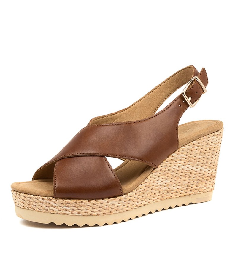 Gabor Silas Mogyoróbőr