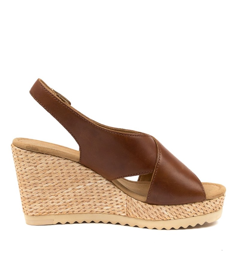 Gabor Silas Mogyoróbőr