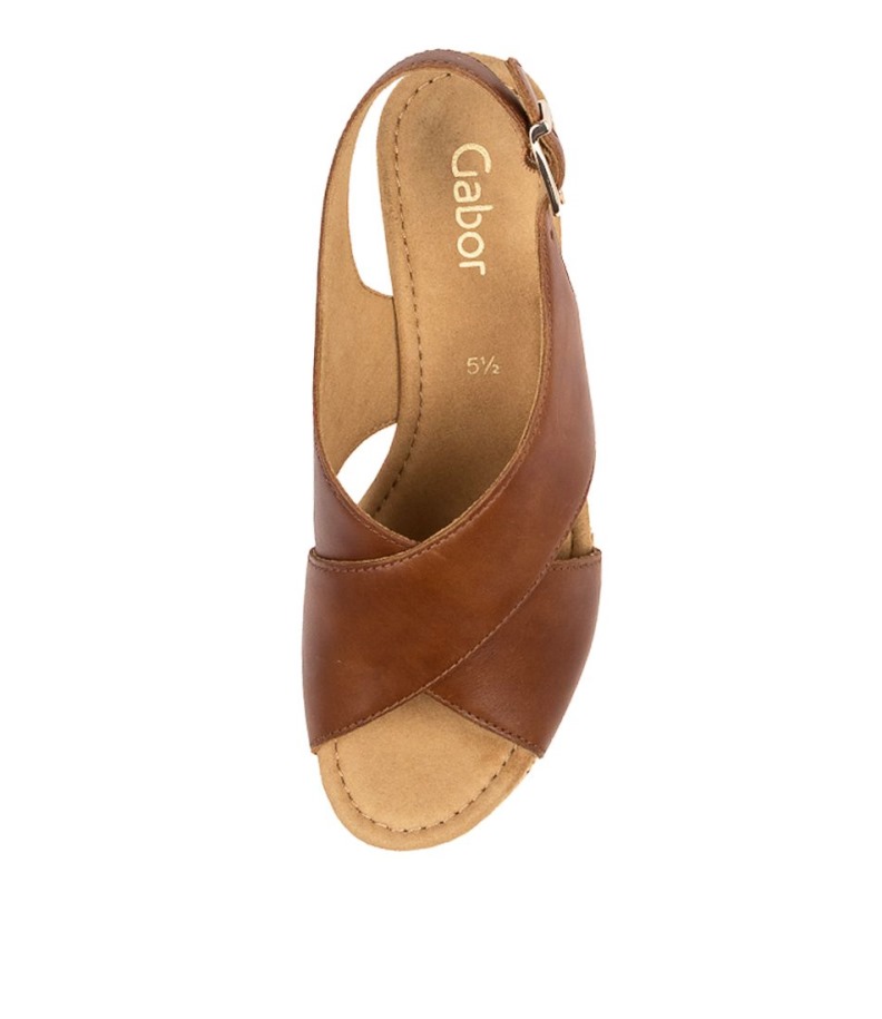 Gabor Silas Mogyoróbőr