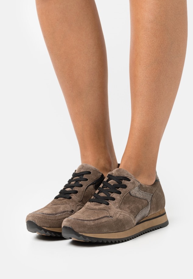 Edzők Gábor Sötét Rózsa