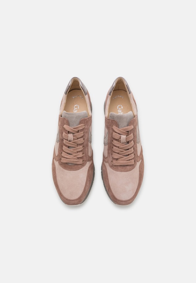 Edzők Gábor Sötét Rózsa